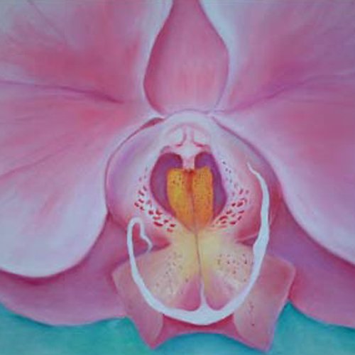 0003_ORCHID_ detail